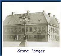Stora toget