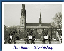 Bastionen Styrbiskop