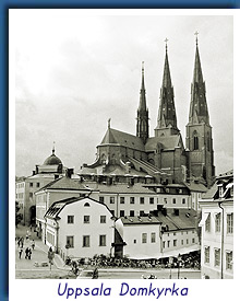 Uppsala Domkyrka